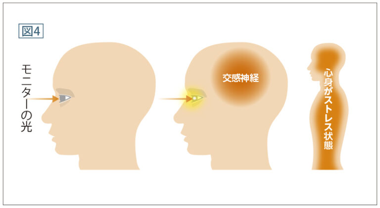 モニターの光による交感神経の活発化